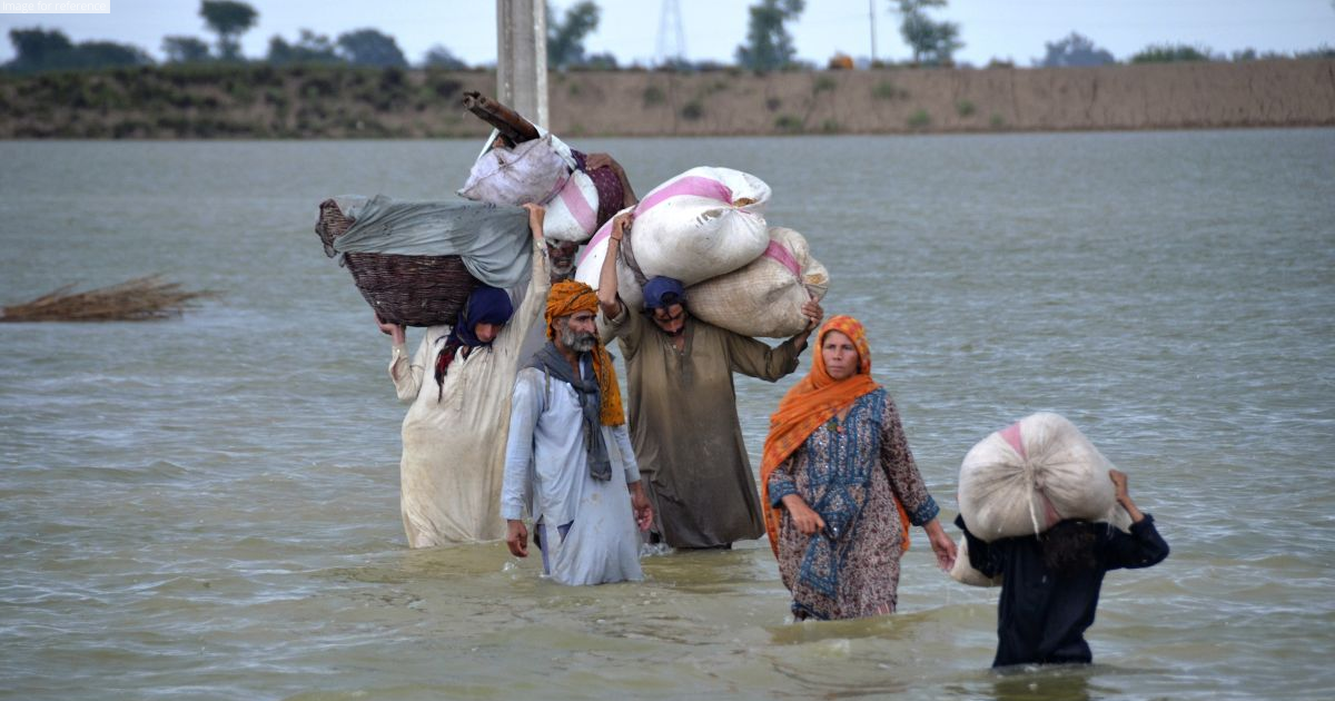 About 8 lakh livestock lost in Pakistan floods